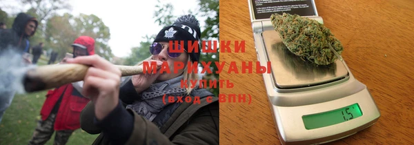 молекула духа Переславль-Залесский