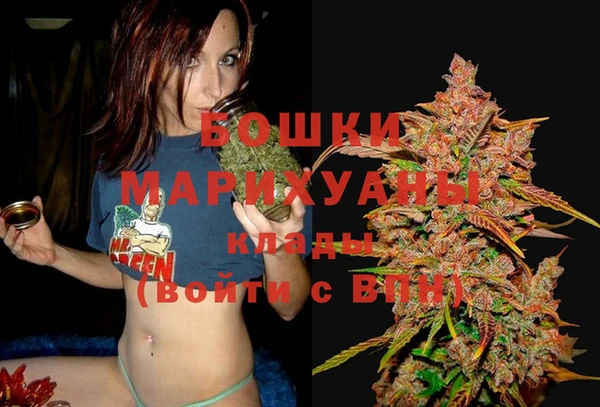 mdma Няндома