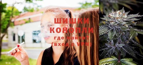 дурь Пересвет