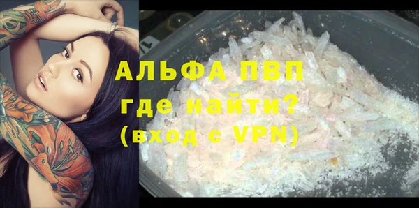 не бодяженный Осташков