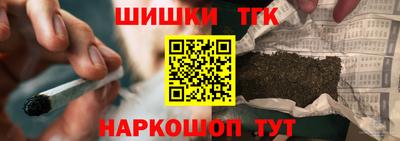 крисы Новозыбков
