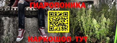 индика Балахна