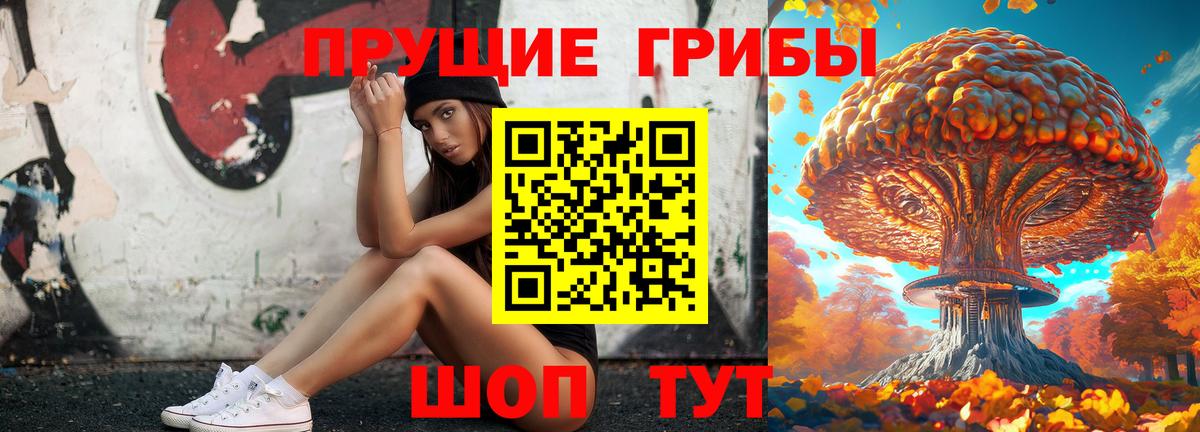 Псилоцибиновые грибы Psilocybine cubensis  Вход с VPN  Костомукша 