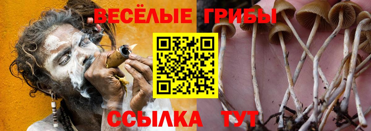 Лсд 25  Cocaine  Канабис  ГАШИШ  Костомукша  ГАШИШ  Меф   Меф  