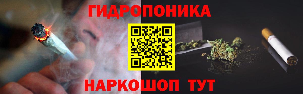 Шишки марихуана марихуана  Шишки марихуана планчик  Вход с VPN  Костомукша 